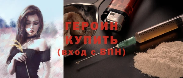 сатива Беломорск