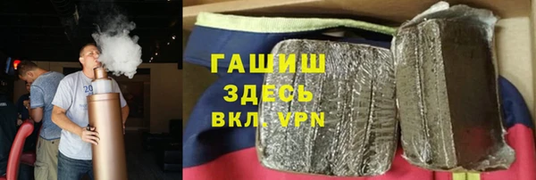 сатива Беломорск