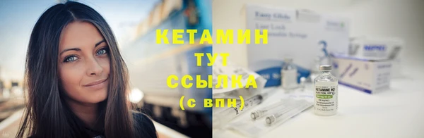 сатива Беломорск