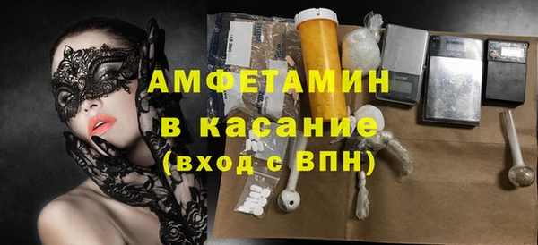сатива Беломорск