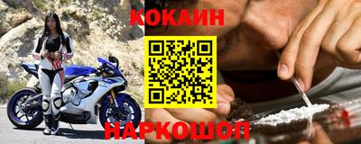 стаф Гай