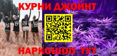 стаф Гай