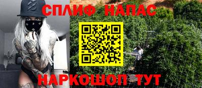 стаф Гай