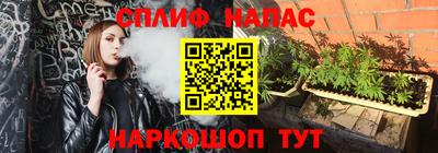 стаф Гай