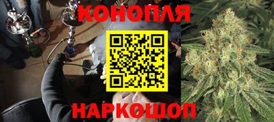 стаф Гай