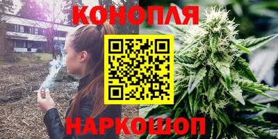 стаф Гай