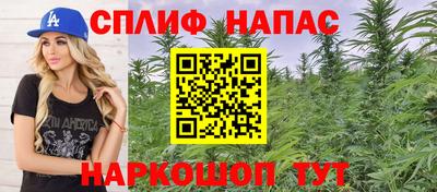 ECSTASY Гатчина