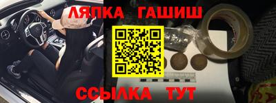стаф Гай