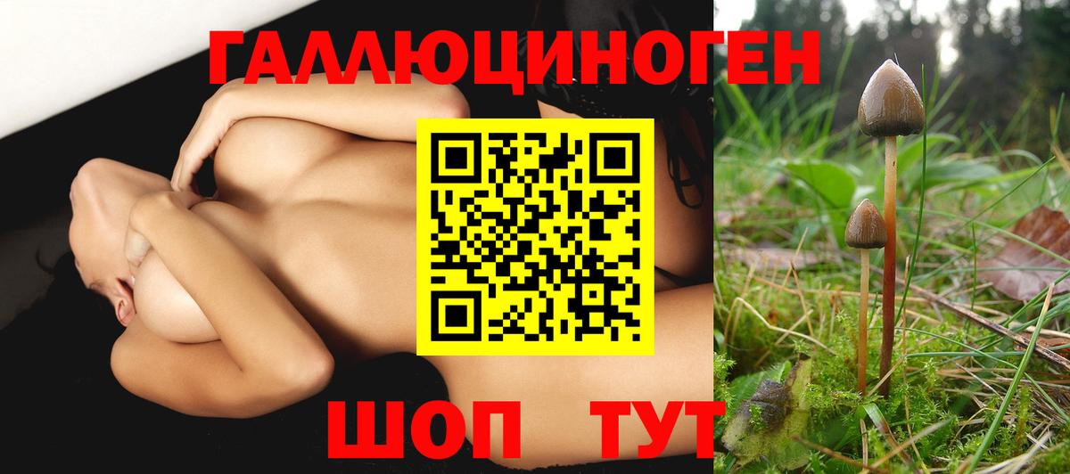 Сегежа  Галлюциногенные грибы MAGIC MUSHROOMS  Вход с VPN 