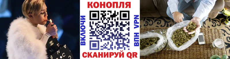 Марихуана гибрид  Сегежа 